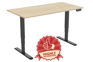 Ergovida Height Adjustable Desks